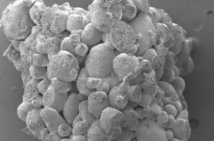 "This image of freeze-dried coffee reveals its ‘micro gas’ cells and cavities.   When the cavities come into contact with hot water, they create ‘crema’, a naturally formed foam of coffee and air."